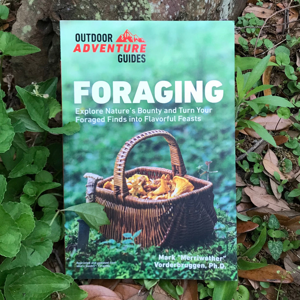 Book titled 'Foraging' by Outdoor Adventure Guides on a natural background with plants.