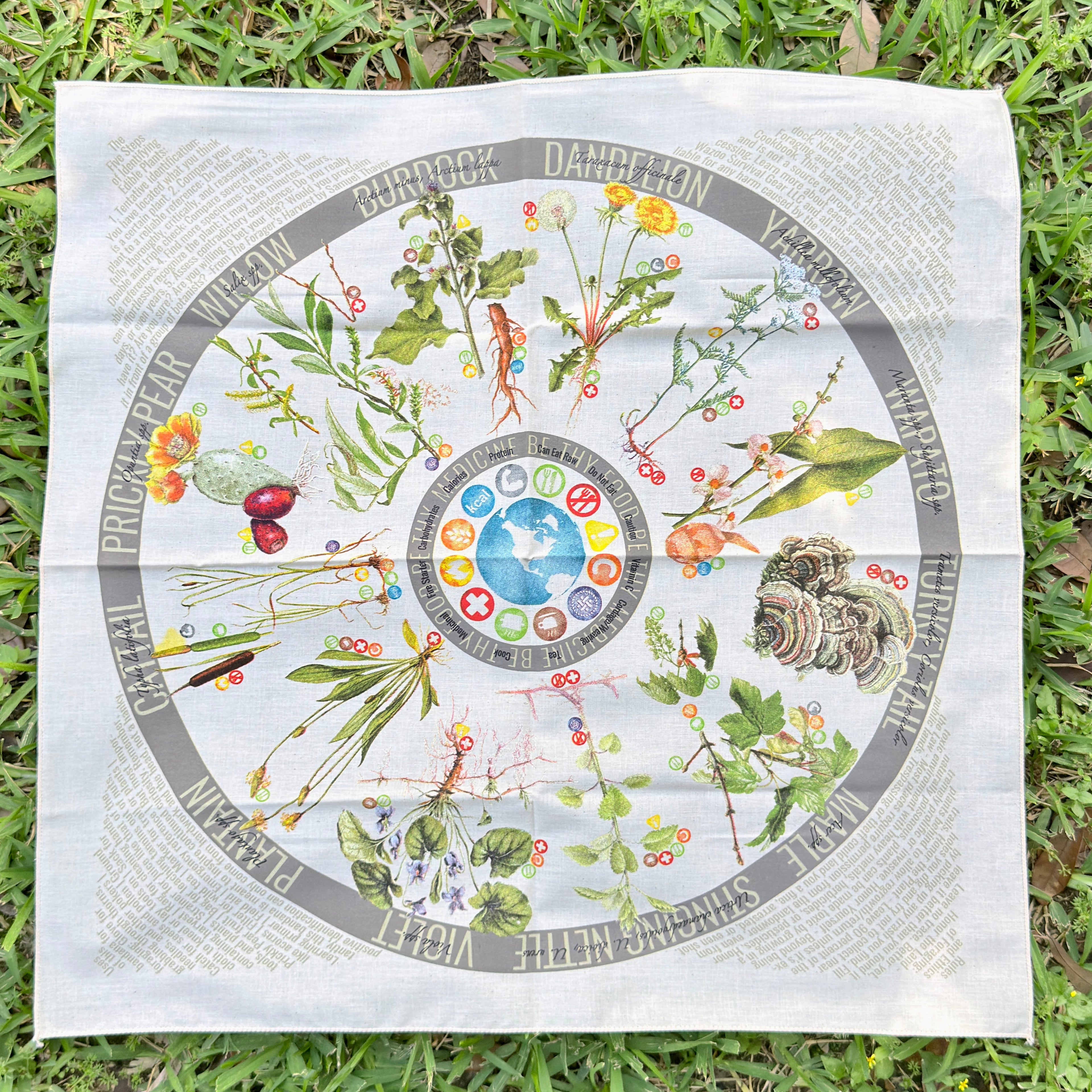22"x22" 100% cotton bandana showing the 12 most useful plants and fungi for food, medicine, fire-making, and cordage in North America