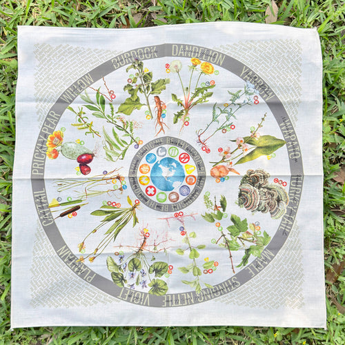 22"x22" 100% cotton bandana showing the 12 most useful plants and fungi for food, medicine, fire-making, and cordage in North America
