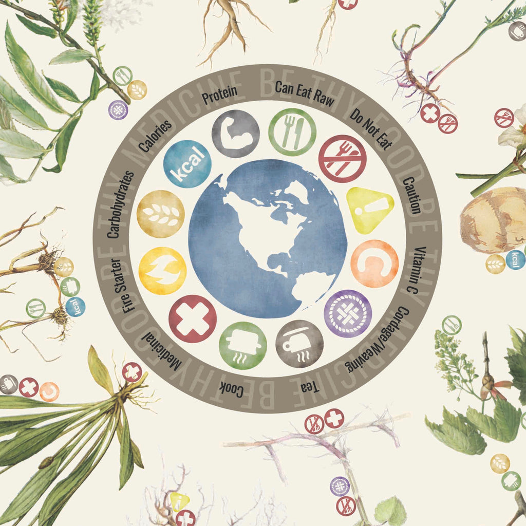 Close-up of 22"x22" 100% cotton bandana showing the 12 most useful plants and fungi for food, medicine, fire-making, and cordage in North America