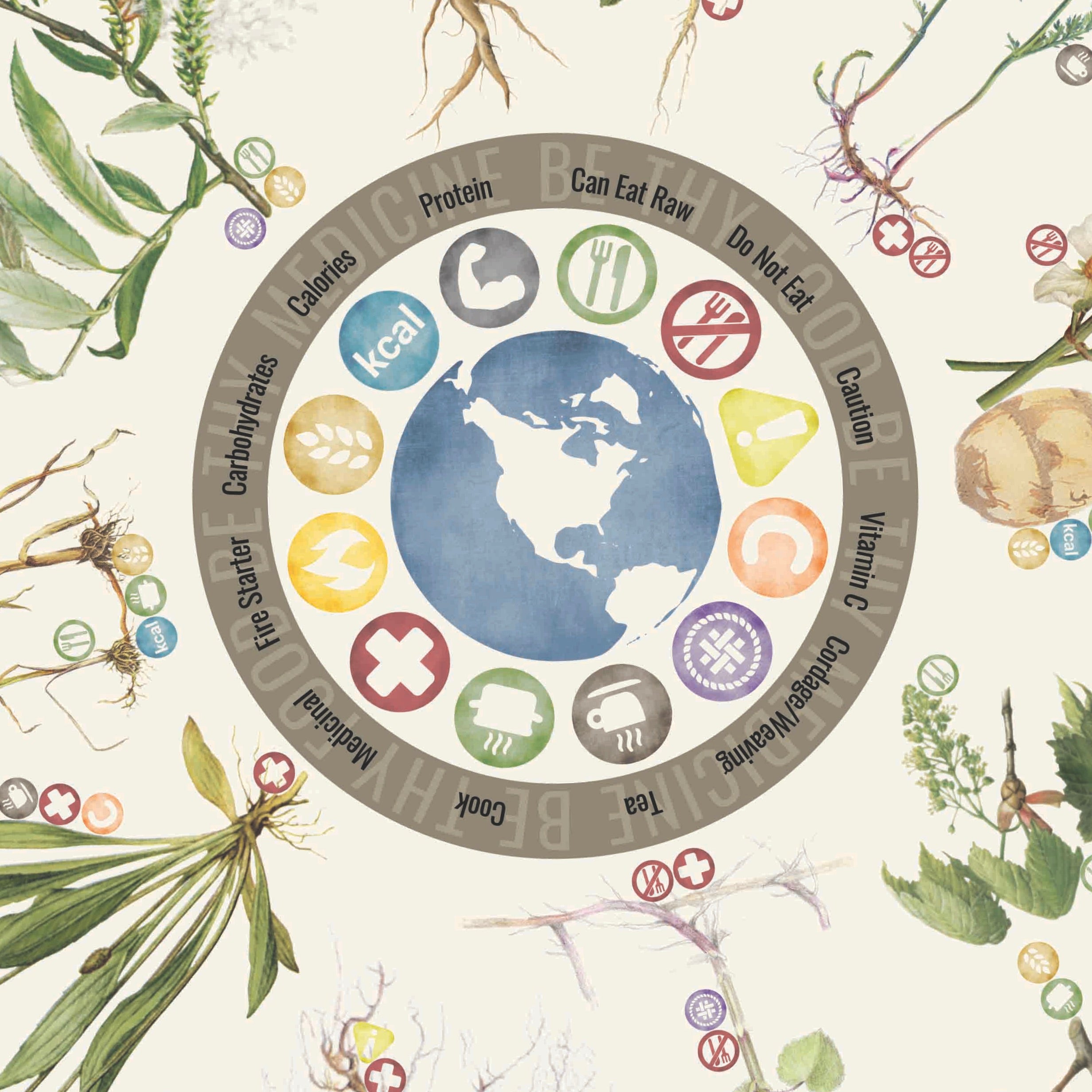 Close-up of 22"x22" 100% cotton bandana showing the 12 most useful plants and fungi for food, medicine, fire-making, and cordage in North America