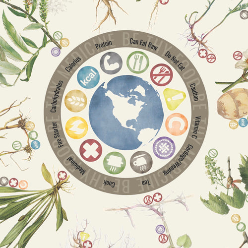 Close-up of 22"x22" 100% cotton bandana showing the 12 most useful plants and fungi for food, medicine, fire-making, and cordage in North America