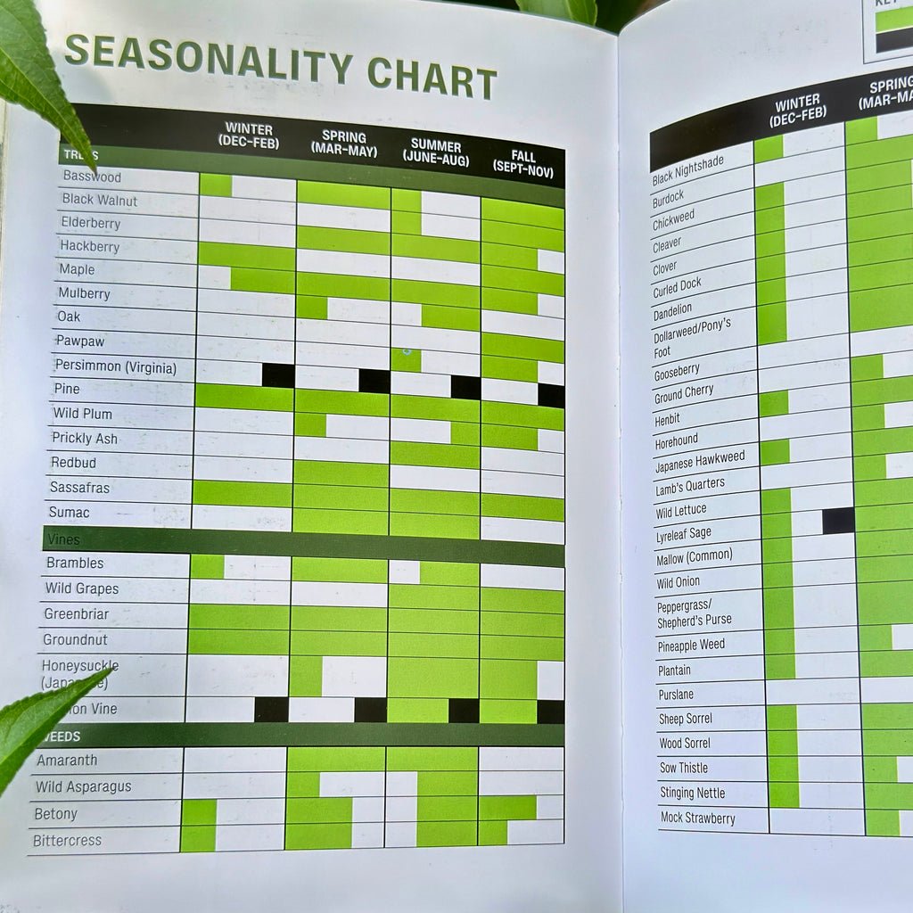 Seasonal foraging table